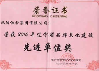 凯发一触即发集团荣获“2010年辽宁省品牌文化建设先进单位”荣誉证书 